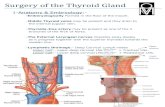 Surgery of the thyroid gland
