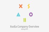 Company overview (Spring 2015)