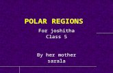 Polar regions  /ICSE  5th class syllabus
