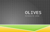Olives- Victoria D.