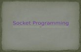 Socket programming concept