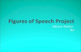 Allison's Figure of Speech Project