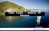 Lake Taupo - Beauty of Nature