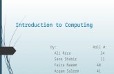 Introduction to computing