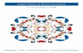 Expat Insurance Consumer Guide