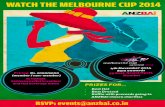 ANZBAI - Melbourne Cup 2014
