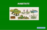Habitats exercise  impress
