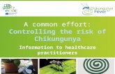 Chikungunya fever presentation_for_health_practitioners