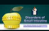 Disorders of the Small Intestine