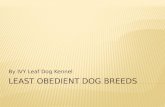 IVY Leaf dog kennel - Least Obedient Dog Breeds