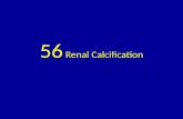 56 renal calcification