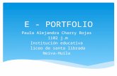 E - portfolio