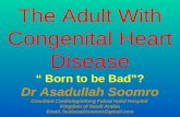 The adult with congenital heart disease