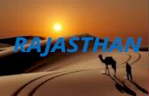 Rajasthan features