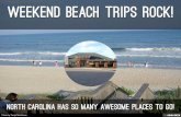 Weekend Beach Trips ROCK!