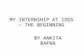 Ankita my internship at idos – the beginning