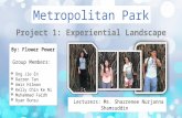 Metropolitan Parks - Flower Power