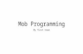 Mob programming - My First Team