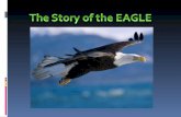 Eagles life story