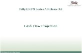 Cash flow projection