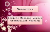 Lexical and grammatical meaning