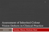 Assessment of Inherited Colour Vision Defects