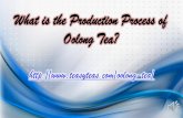 What is the production process of oolong tea