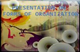 Forms of organization