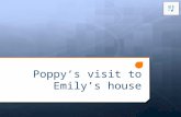 Emily's Poppy Weekend