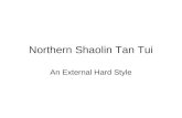 Northern Shaolin Tan Tui