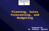 Planning, Sales Forecasting, and Budgeting