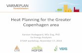 Heat planning for the Greater Copenhagen area