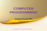 COMPUTER PROGRAMMING UNIT 1 Lecture 1