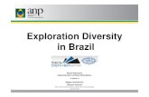 Exploration Diversity in Brazi