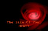 Do You Know The Size Of Your Heart...