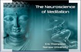 The Neuroscience Of Meditation
