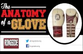 The Anatomy of a Boxing Glove - Ringside Boxing