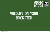 Michael Blencowe, Sussex Wildlife Trust - Wildlife on your doorstep
