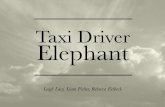 Taxi driver and elephant