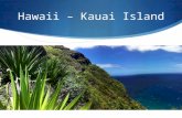 Hawaii Island - Kauai