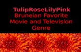 Tulip roselilypink
