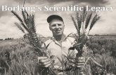 Borlaug's Scientific Legacy