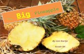 The big pineapple