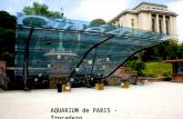 465 - Aquarium Paris
