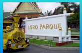 Loro parque Tenerife (nx power lite)