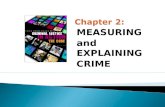 Chapter 2 Criminal Justice