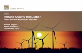Regulatory Guidelines to set up Voltage Quality Monitoring