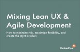 Mixing Lean UX & Agile Development