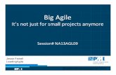 Big agile - It's not just for small projects anymore