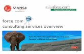 Mansa Systems Force.Com Development Services